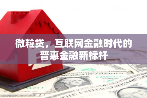 顺庆微粒贷，互联网金融时代的普惠金融新标杆
