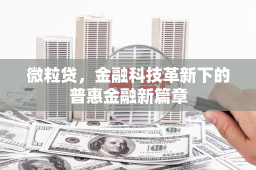 顺庆微粒贷，金融科技革新下的普惠金融新篇章