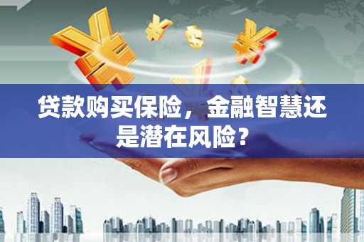 顺庆贷款购买保险，金融智慧还是潜在风险？