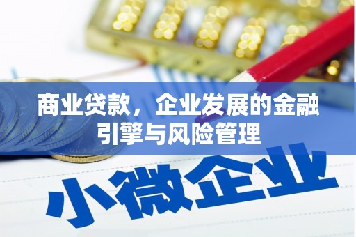 顺庆商业贷款，企业发展的金融引擎与风险管理