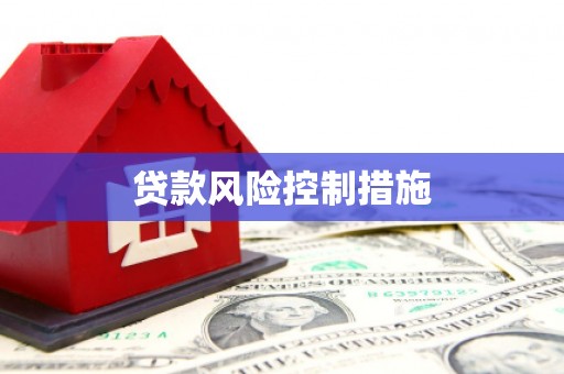顺庆贷款风险控制措施