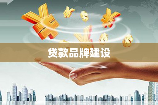 顺庆贷款品牌建设