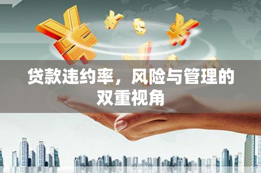 顺庆贷款违约率，风险与管理的双重视角