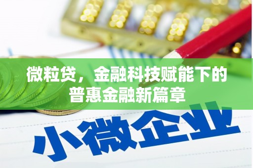 顺庆微粒贷，金融科技赋能下的普惠金融新篇章