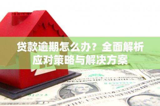 顺庆贷款逾期怎么办？全面解析应对策略与解决方案