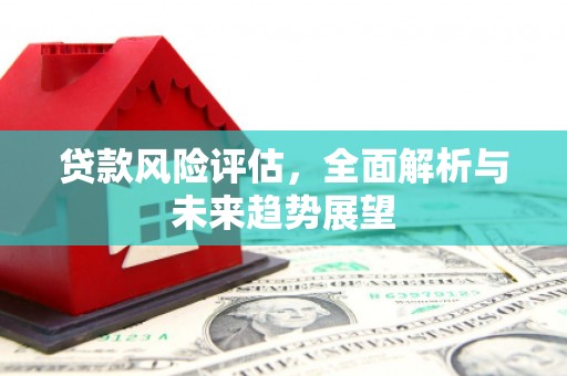 顺庆贷款风险评估，全面解析与未来趋势展望