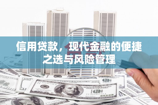顺庆信用贷款，现代金融的便捷之选与风险管理