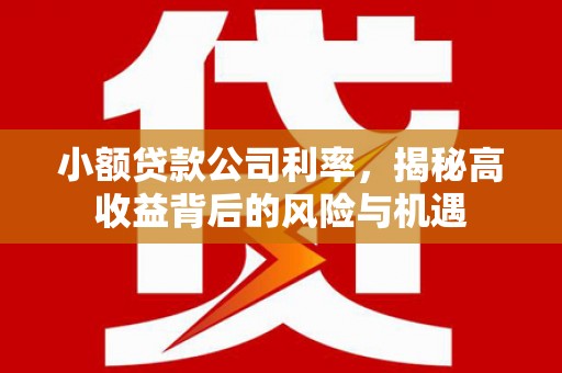 顺庆小额贷款公司利率，揭秘高收益背后的风险与机遇