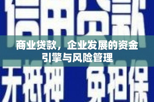顺庆商业贷款，企业发展的资金引擎与风险管理