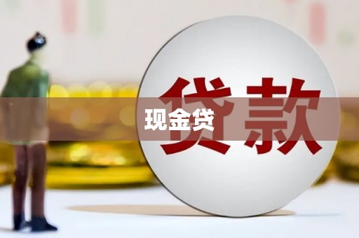 顺庆现金贷