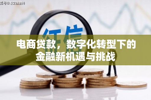 顺庆电商贷款，数字化转型下的金融新机遇与挑战