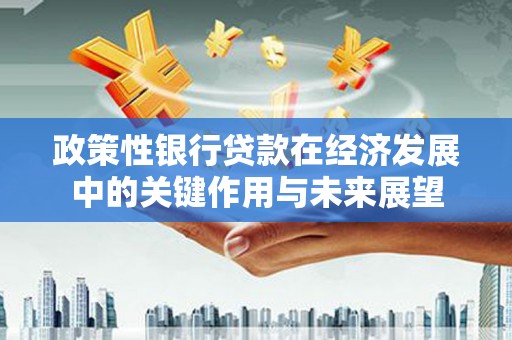 顺庆政策性银行贷款在经济发展中的关键作用与未来展望