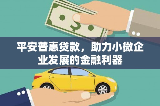 顺庆平安普惠贷款，助力小微企业发展的金融利器
