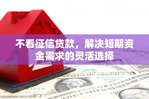 顺庆不看征信贷款，解决短期资金需求的灵活选择