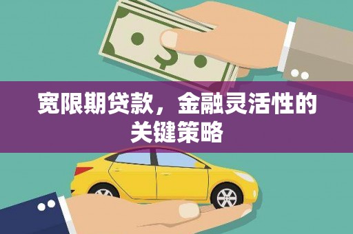 顺庆宽限期贷款，金融灵活性的关键策略