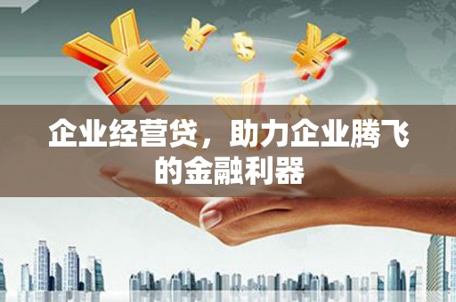 顺庆企业经营贷，助力企业腾飞的金融利器