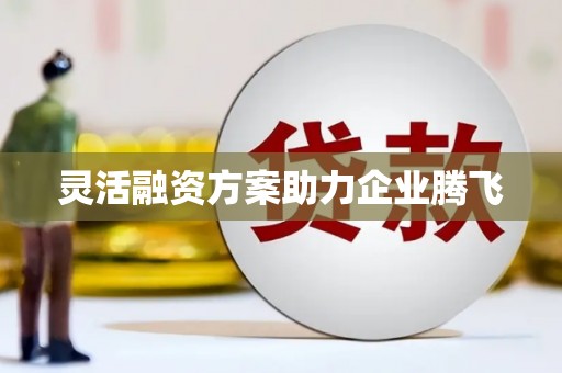 顺庆灵活融资方案助力企业腾飞