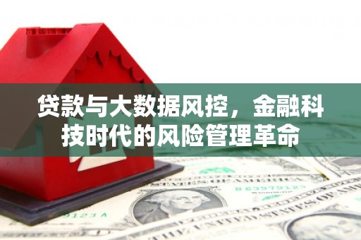 顺庆贷款与大数据风控，金融科技时代的风险管理革命