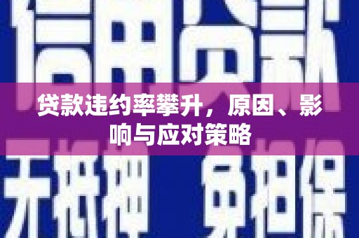 顺庆贷款违约率攀升，原因、影响与应对策略