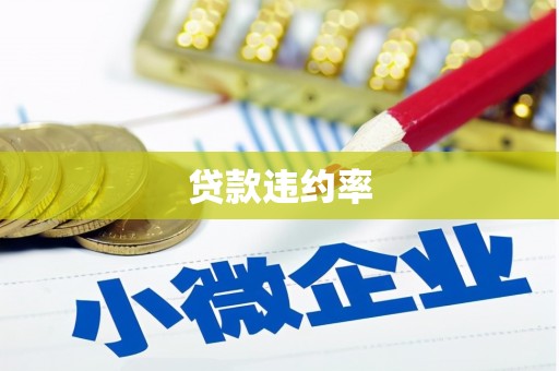 顺庆贷款违约率