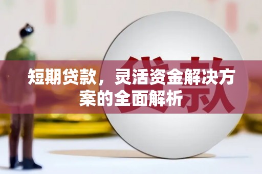 顺庆短期贷款，灵活资金解决方案的全面解析