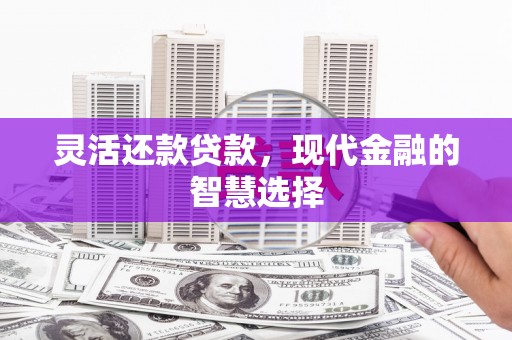 顺庆灵活还款贷款，现代金融的智慧选择