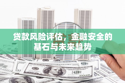 顺庆贷款风险评估，金融安全的基石与未来趋势