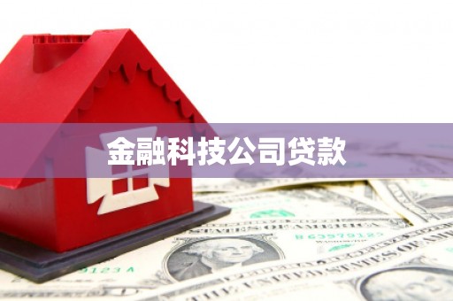 顺庆金融科技公司贷款