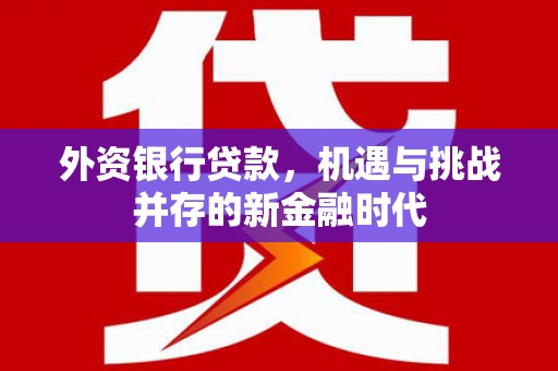 顺庆外资银行贷款，机遇与挑战并存的新金融时代