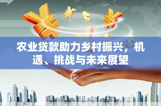 顺庆农业贷款助力乡村振兴，机遇、挑战与未来展望