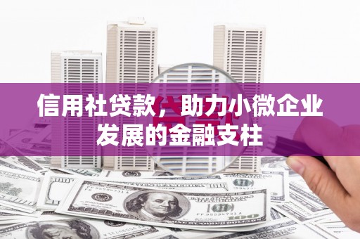 顺庆信用社贷款，助力小微企业发展的金融支柱