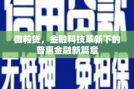 顺庆微粒贷，金融科技革新下的普惠金融新篇章
