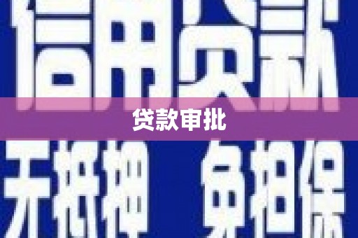 顺庆贷款审批