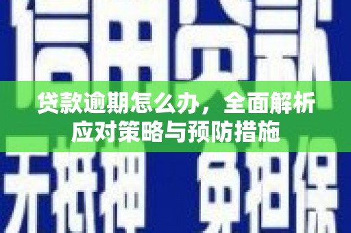顺庆贷款逾期怎么办，全面解析应对策略与预防措施