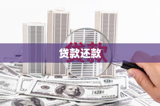 顺庆贷款还款