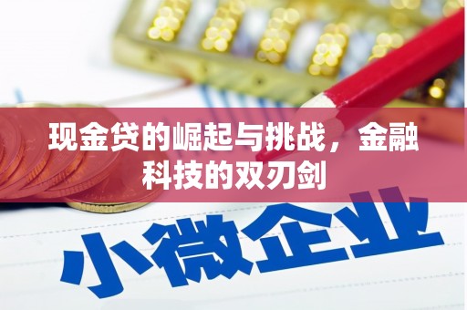 顺庆现金贷的崛起与挑战，金融科技的双刃剑