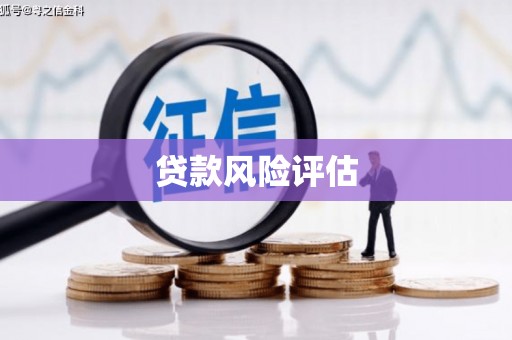 顺庆贷款风险评估