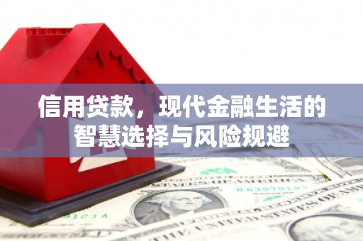 顺庆信用贷款，现代金融生活的智慧选择与风险规避