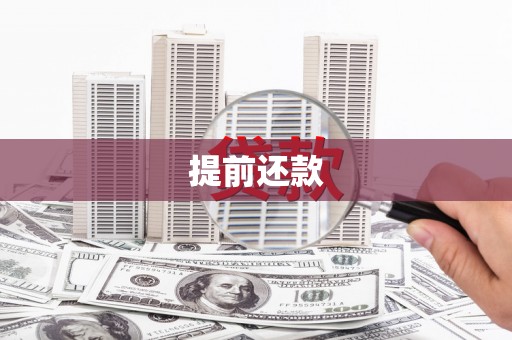 顺庆提前还款