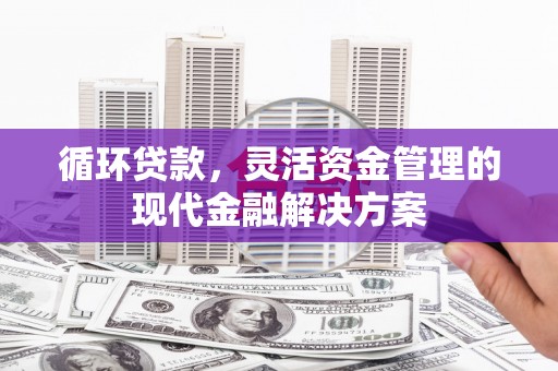 顺庆循环贷款，灵活资金管理的现代金融解决方案