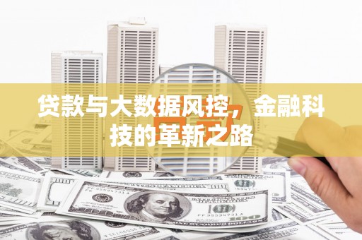 顺庆贷款与大数据风控，金融科技的革新之路