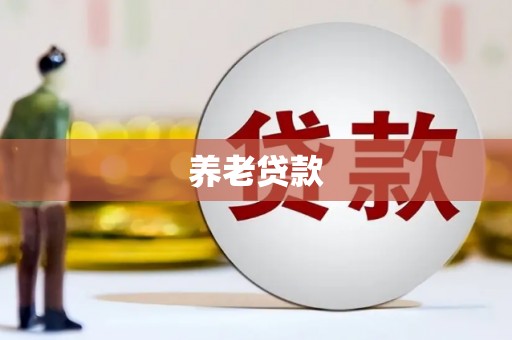 顺庆养老贷款