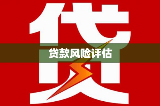 顺庆贷款风险评估