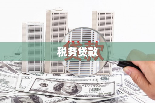 顺庆税务贷款