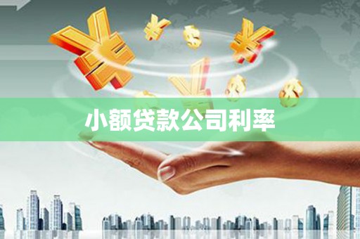顺庆小额贷款公司利率