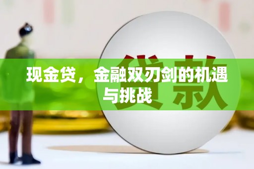 顺庆现金贷，金融双刃剑的机遇与挑战