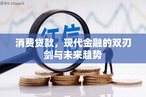 顺庆消费贷款，现代金融的双刃剑与未来趋势
