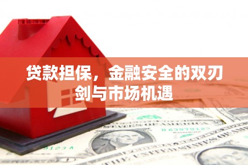顺庆贷款担保，金融安全的双刃剑与市场机遇