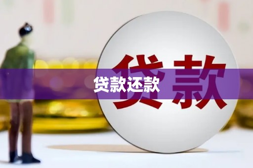顺庆贷款还款