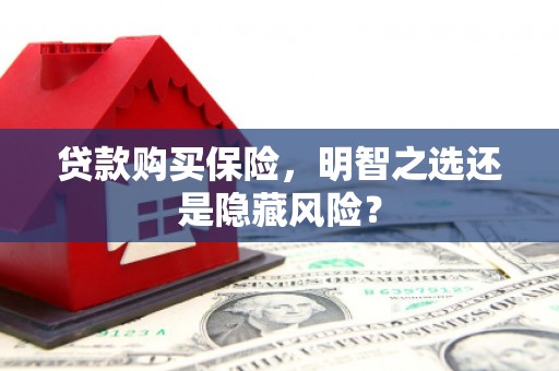 顺庆贷款购买保险，明智之选还是隐藏风险？